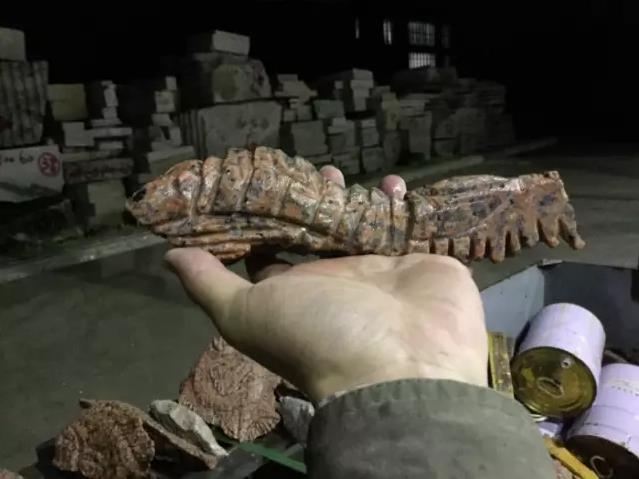 �й�����ѧԺ��ҵչ��Ʒ����ƤƤϺҲ����