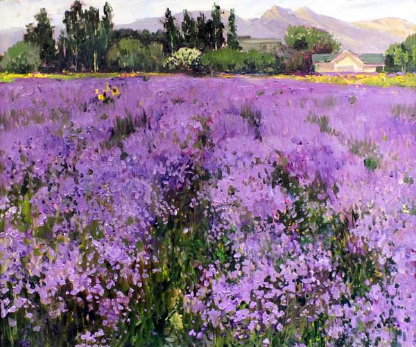 ����Ͻ𻨺�д��.