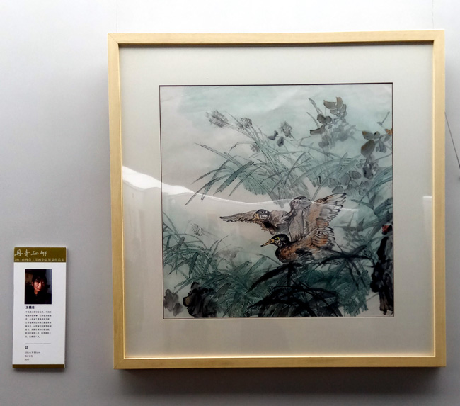 2017ɽ��ʡ���ʻ�����չ�ں�����չ