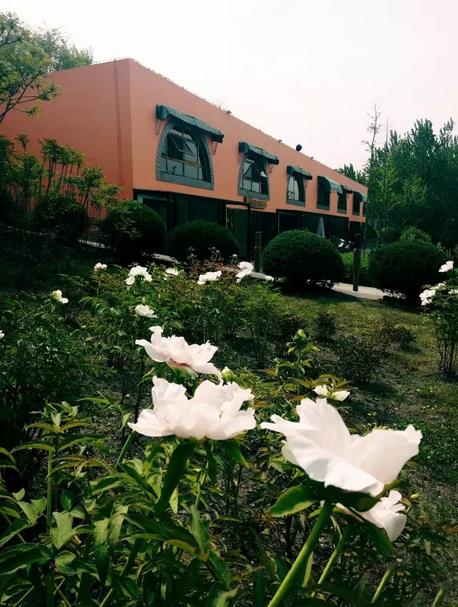 ���������¡���ά�������޹���СƷչ