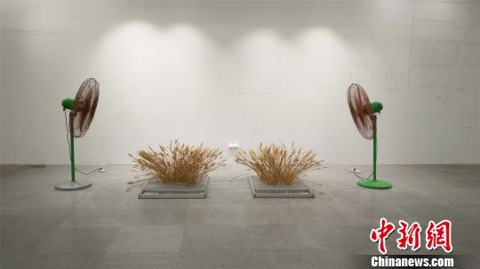 ���������ҳ¼κ�Ĳ�չ��Ʒ������ũ������գ����Ϸ���ֲС�󡷡������췽��ͼ����