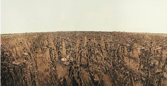 许江 葵阵 油画