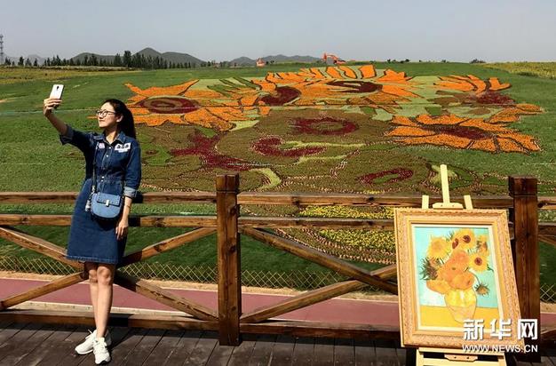 �����տ����޷����ݻ������ػʵ�