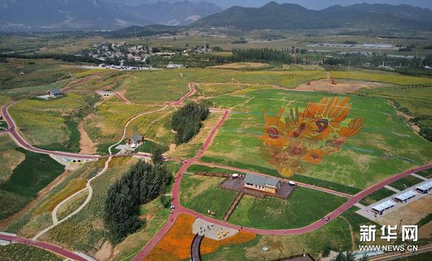 �����տ����޷����ݻ������ػʵ�