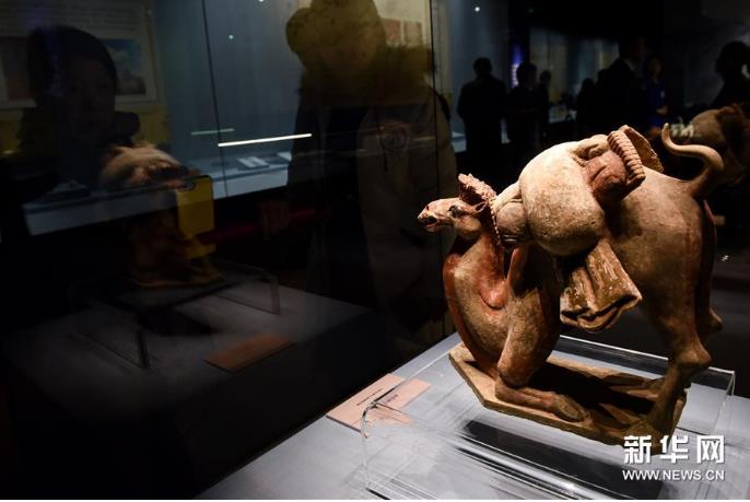 ����ެ�ŵ�������ʡ����Ʒ������չ��������չ ͼ