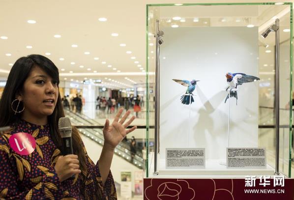 �����ﻨ�㣺ֽ������չ��������۾���