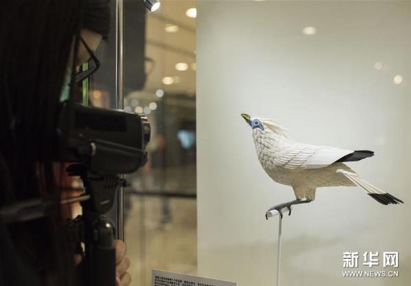 �����ﻨ�㣺ֽ������չ��������۾���