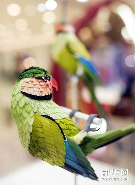 �����ﻨ�㣺ֽ������չ��������۾���