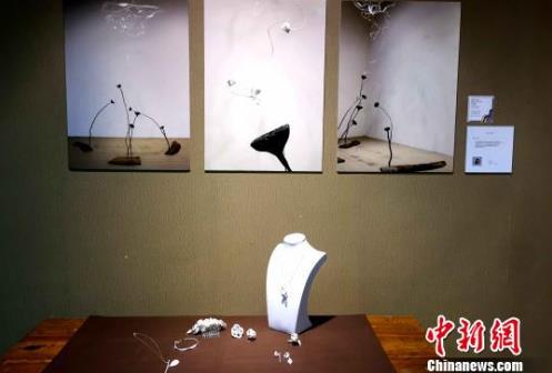 ������ѧ�����������Ʒչ�������ݿ�Ļ