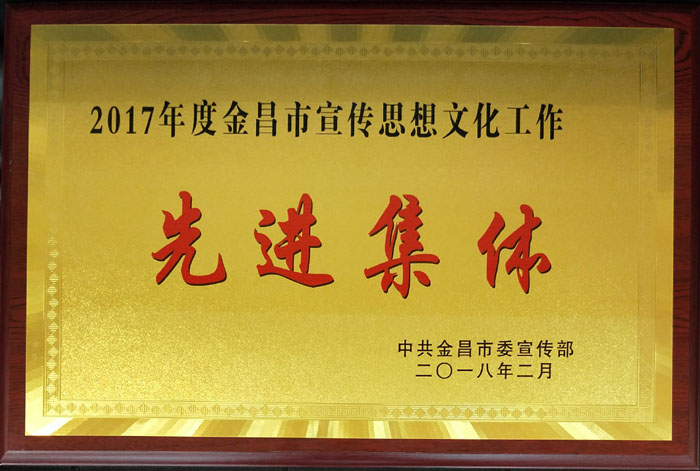 2017�����������ݣ������Ժ�������ɹ�չ��