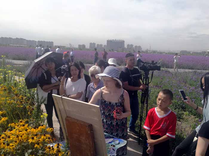 2017�����������ݣ������Ժ�������ɹ�չ��