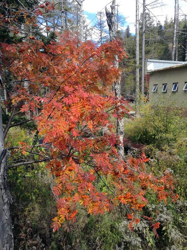 ����ɽ�羰