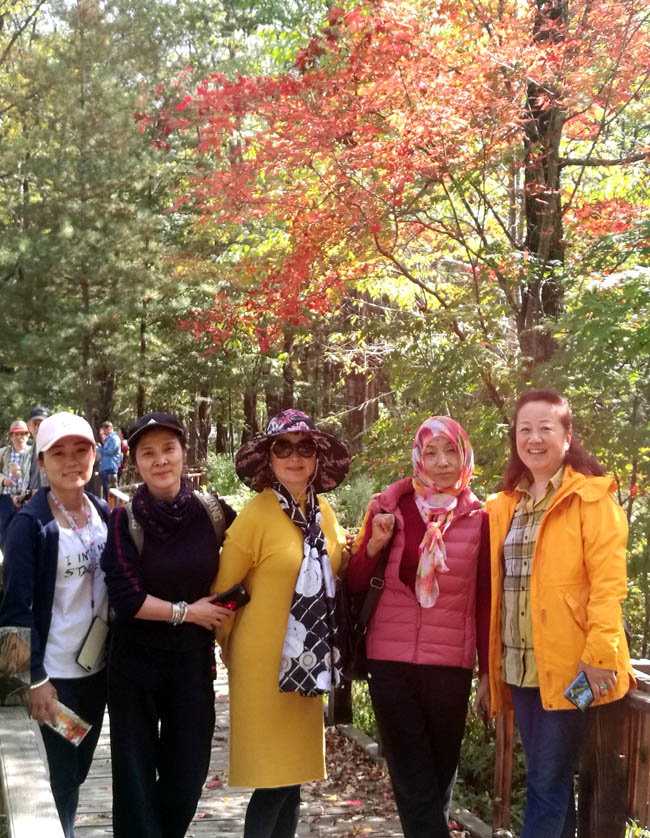 ��Ҷ����