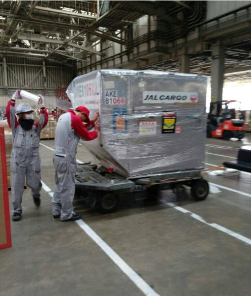 Ϊʲô�黭����չ���������١�Ъ�����ꣿ