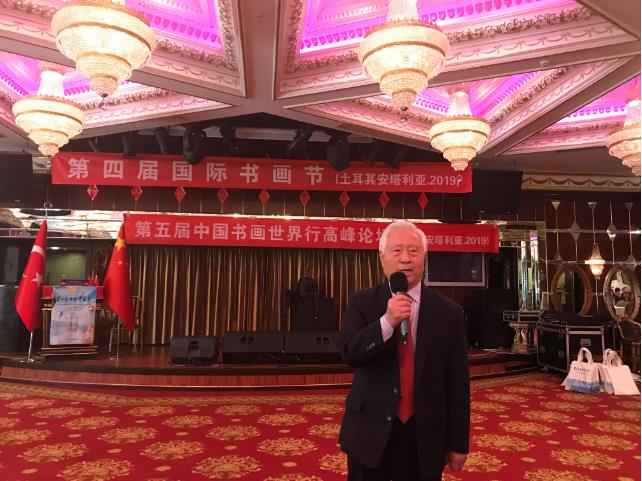 史成新在高峰论坛上发言