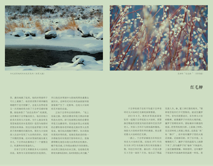 37-QQ图片20200108131037.jpg 37-QQ图片20200108131037.jpg