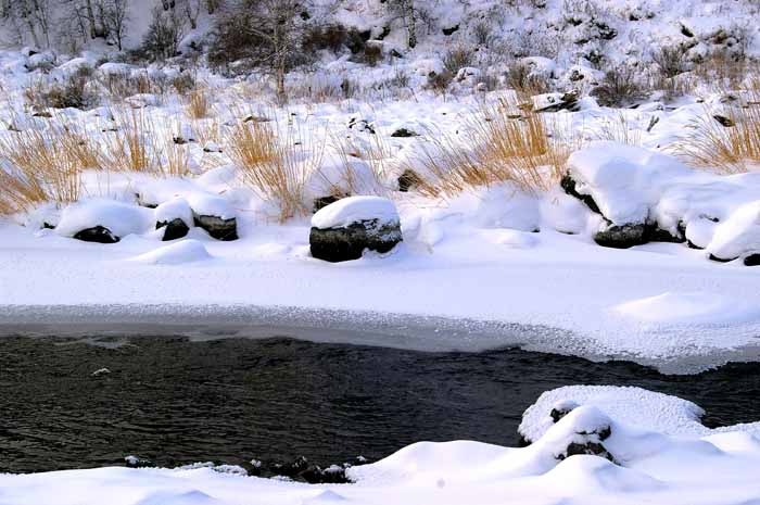 冬天里雪地的黑水是黑色的 汤宽义摄摄_IGP7485.JPG 冬天里雪地的黑水是黑色的 汤宽义摄摄_IGP7485.JPG