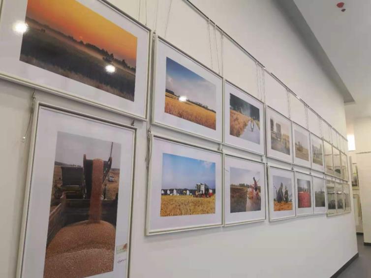 360截图20210924092119162.jpg 360截图20210924092119162.jpg