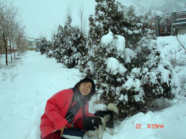8-2008年卢平在延庆赏雪DSC06950.JPG 8-2008年卢平在延庆赏雪DSC06950.JPG