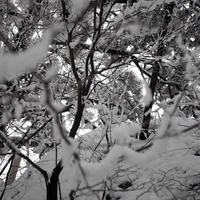 张军摄 IMG_8984 (45).jpg 张军摄 IMG_8984 (45).jpg