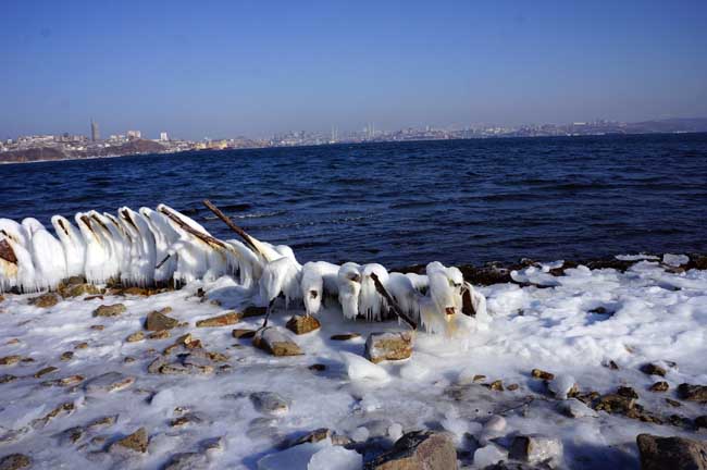 曾经的中国领土——海参崴 卢平摄 DSC02796 (2).JPG 曾经的中国领土——海参崴 卢平摄 DSC02796 (2).JPG
