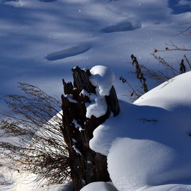 卢平摄DSC_4760 (144).JPG 卢平摄DSC_4760 (144).JPG