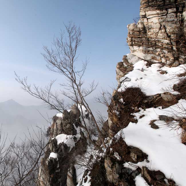 1卢平摄DSC_4760 (90).JPG 1卢平摄DSC_4760 (90).JPG