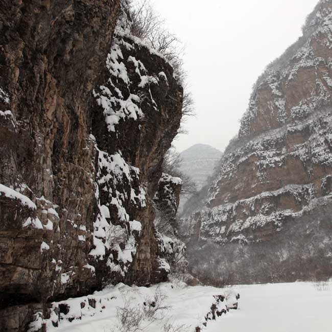 李振东摄 IMG_9731 (1).jpg 李振东摄 IMG_9731 (1).jpg