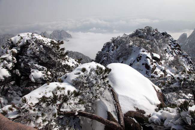 卢平摄黄山 IMG_7880.JPG 卢平摄黄山 IMG_7880.JPG