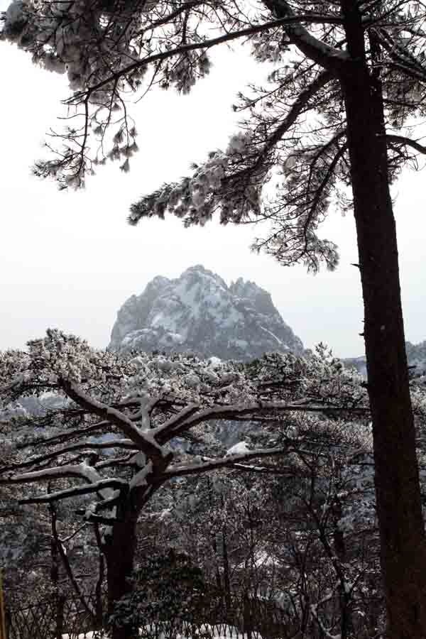 张军摄黄山 IMG_0875.JPG 张军摄黄山 IMG_0875.JPG