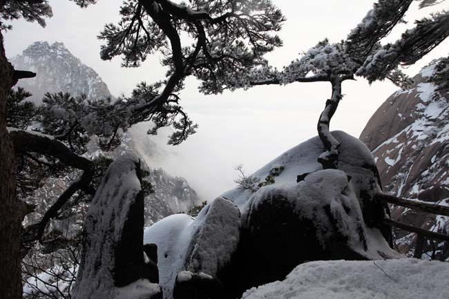 张军摄黄山 IMG_1133.JPG 张军摄黄山 IMG_1133.JPG