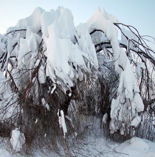 3-黑龙江亚布力雪景.JPG 3-黑龙江亚布力雪景.JPG