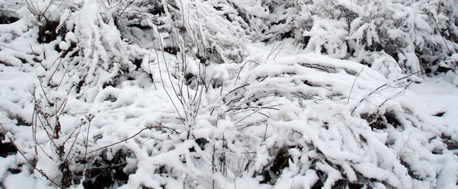 7-北京延庆雪景20080329.jpg 7-北京延庆雪景20080329.jpg