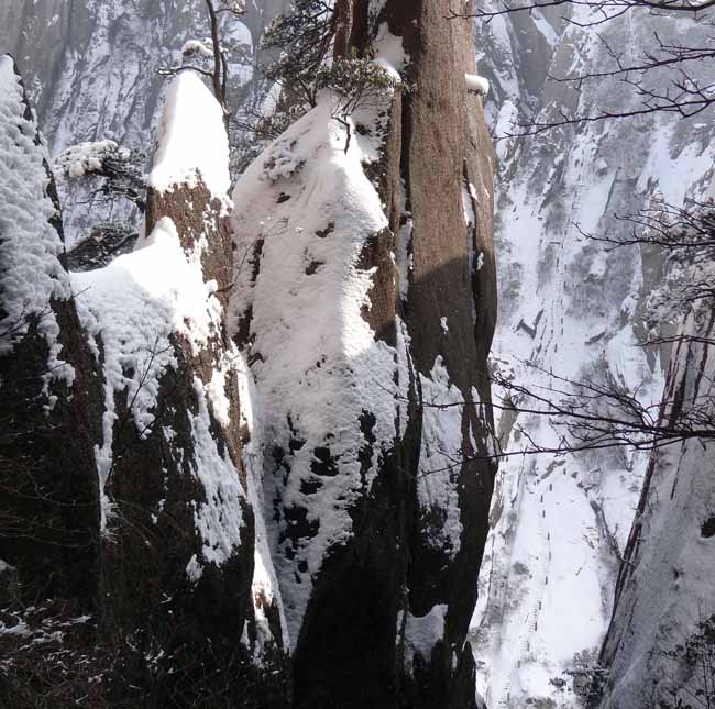 13-黄山雪景DSC02571.JPG 13-黄山雪景DSC02571.JPG