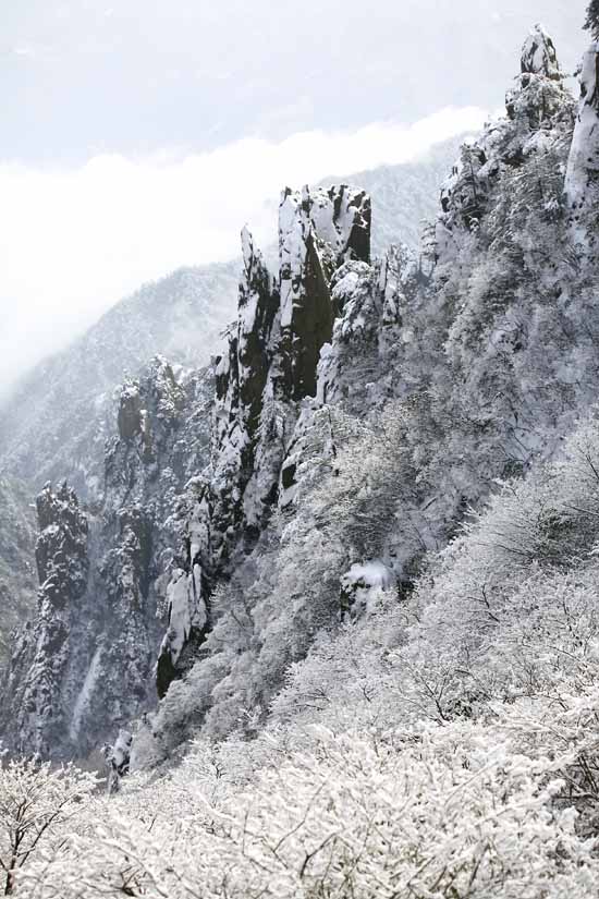 15-黄山雪景IMG_9756.jpg 15-黄山雪景IMG_9756.jpg