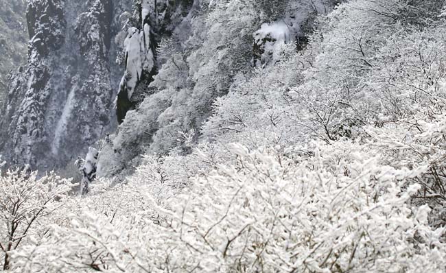 17-黄山雪景 IMG_97569999.jpg 17-黄山雪景 IMG_97569999.jpg